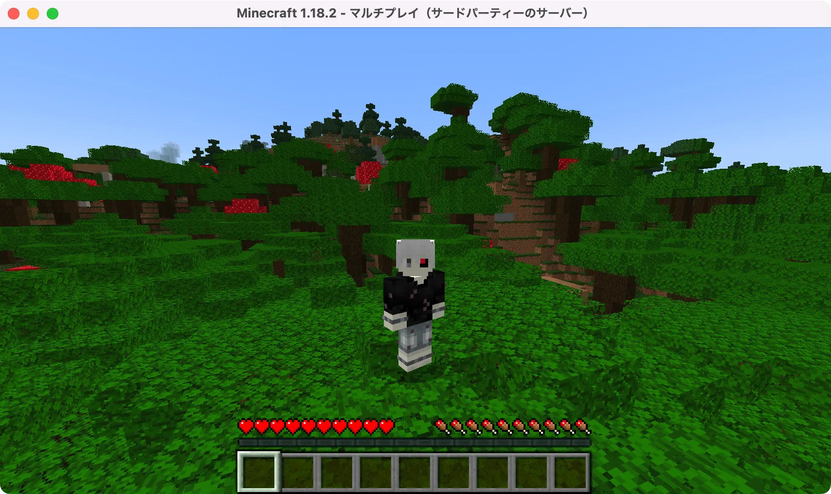 M1・M2 Macでバニラ鯖（マイクラ Java Edition）にログイン！