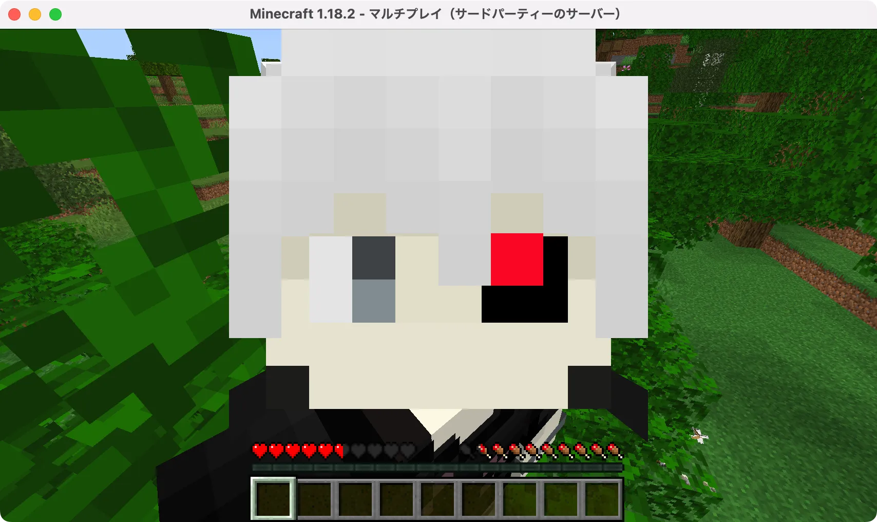 統合版マイクラサーバー環境