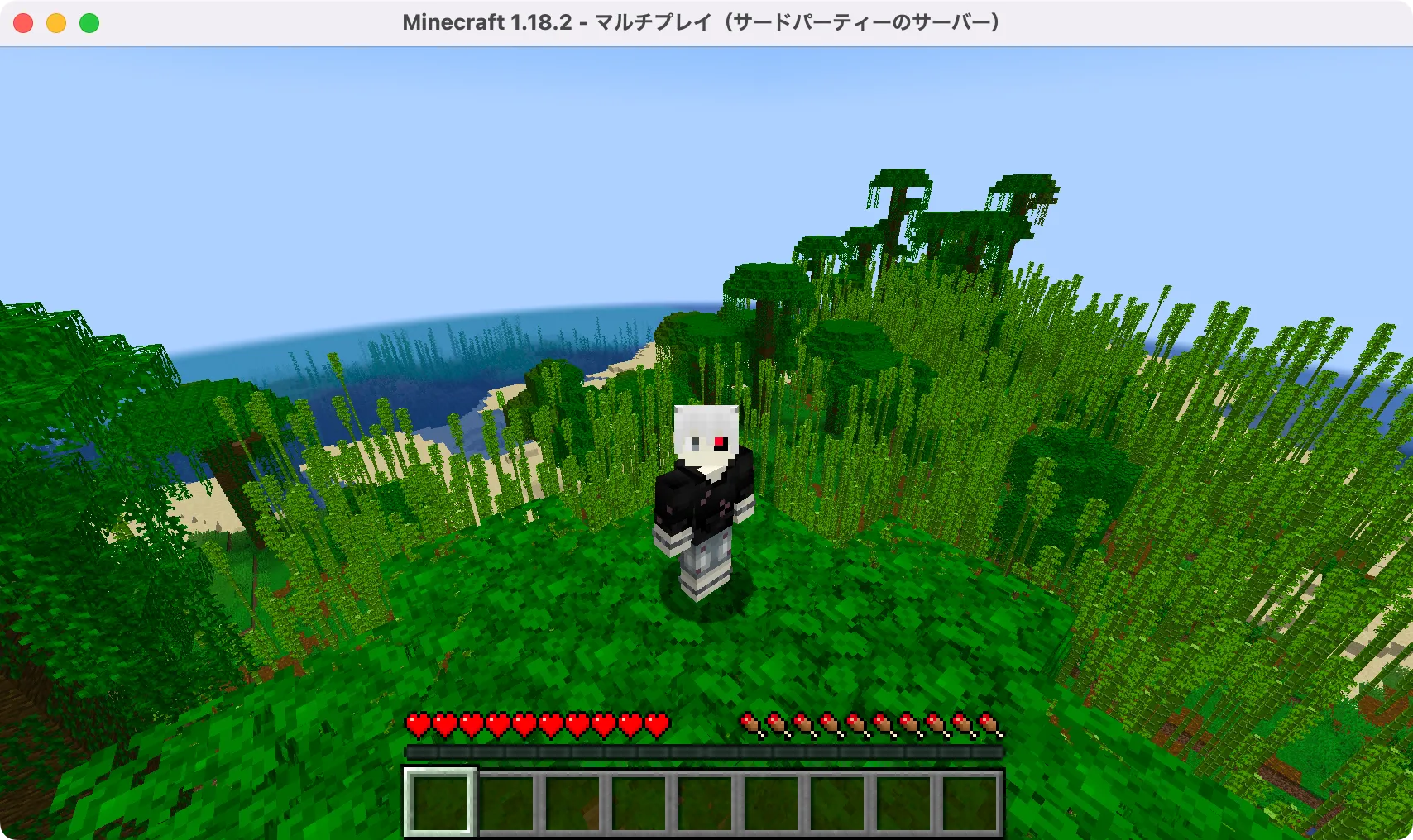 M1・M2 MacでもMagmaサーバー（マイクラ Java Edition）は軽快に動作！