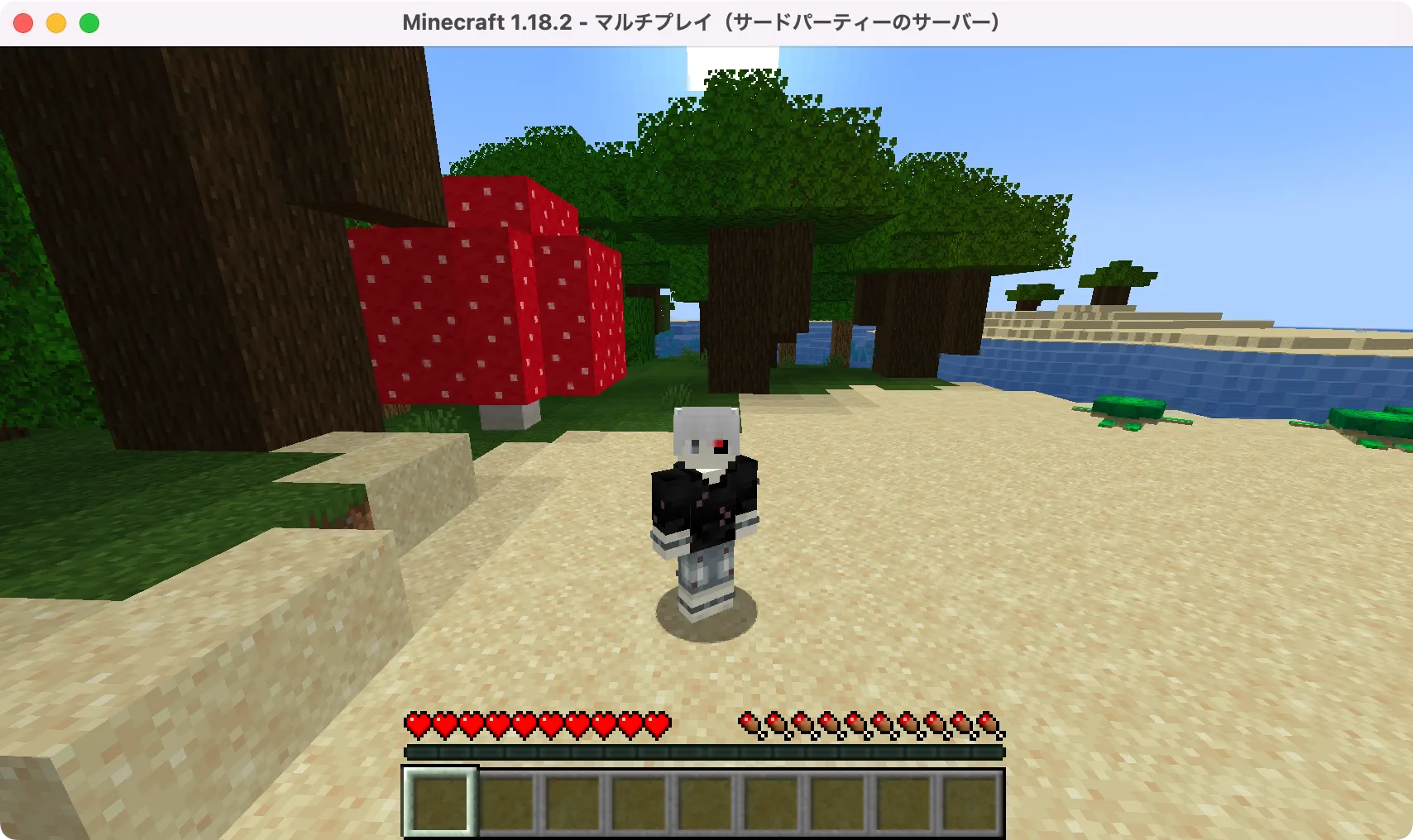 M1・M2 Macでバニラ鯖（マイクラ Java Edition）にログイン！