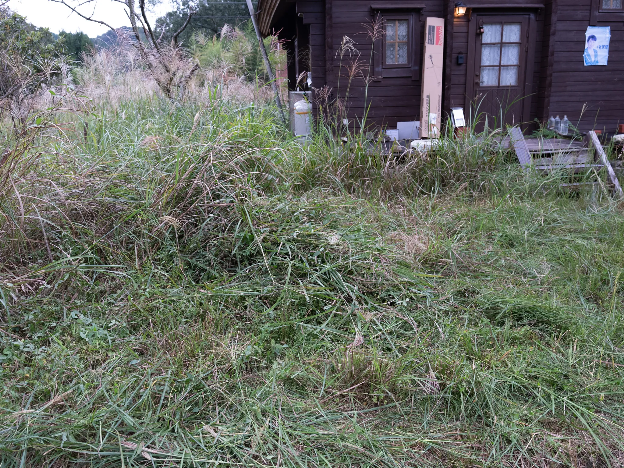 部屋を「除湿」するだけで外に背の丈ほどの雑草が生い茂ろうが害虫が一切出なくなる。